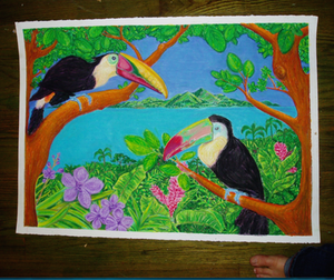Toucans & Orchids